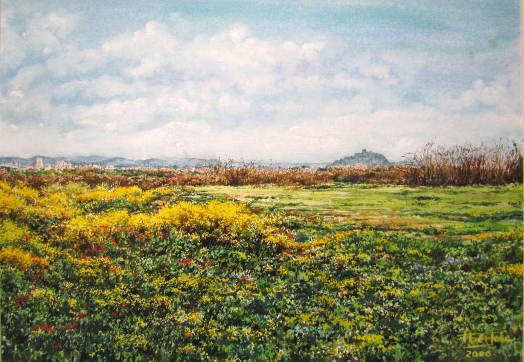 Campos Floridos do Lis - Leiria 