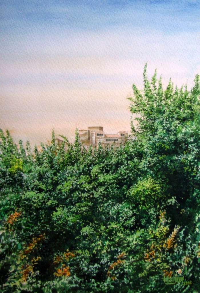 Castelo entre Folhagem - Leiria