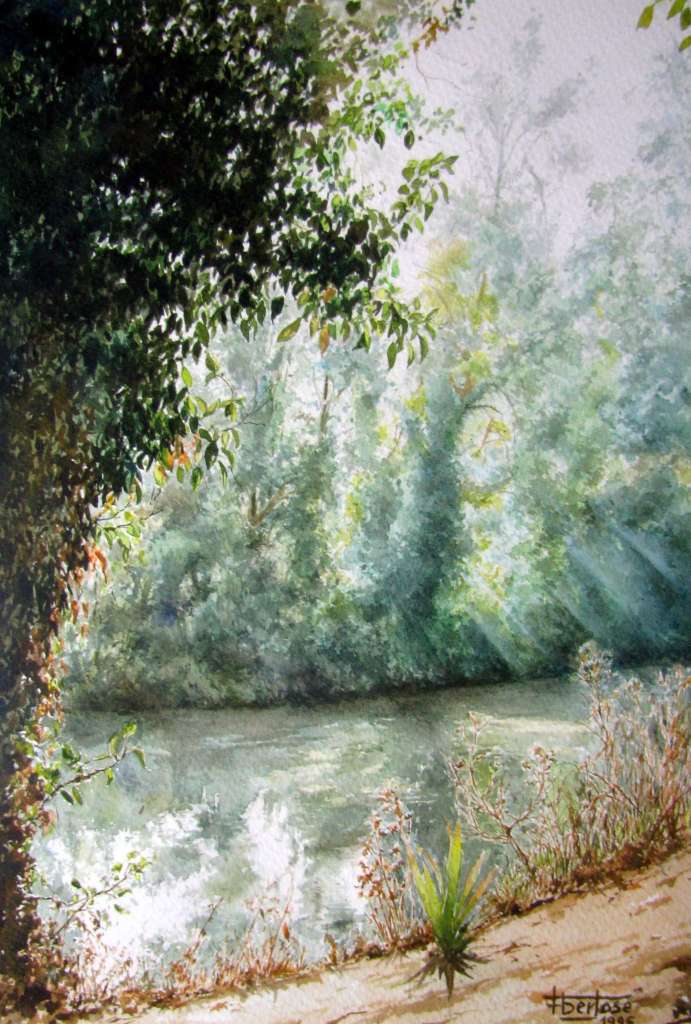 Neblina no Lis – Leiria