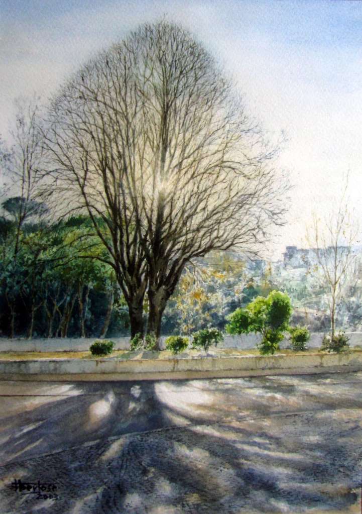 Sombras do Amanhecer – Leiria