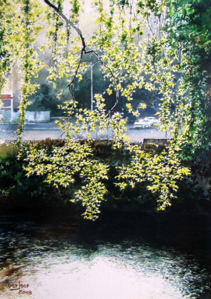 Serenidade – Rio Lis