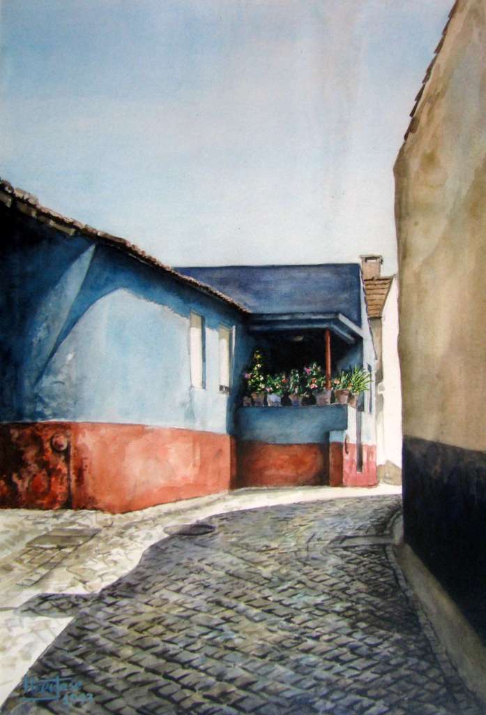 Rua das Alminhas – Marrazes – Leiria