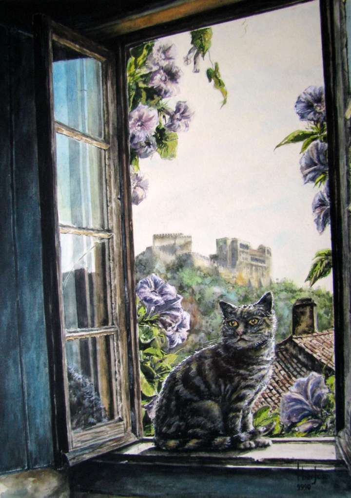Gato à Janela – Leiria